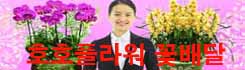 호호플라워