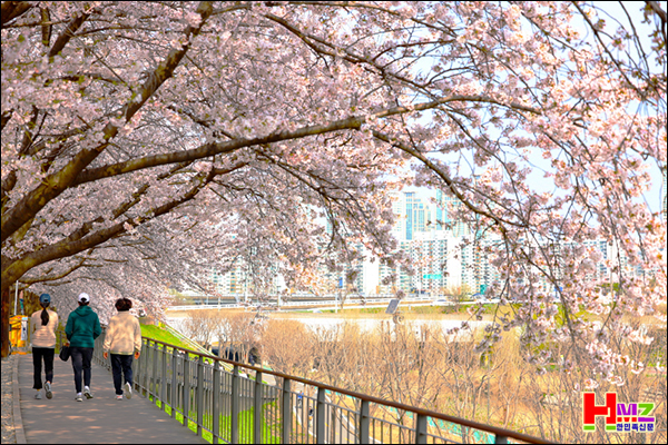 ���α� �Ⱦ�õ������õ �����, ���ص� ���� ���ҷ�